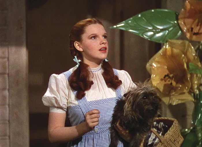 Avatar of Dorothy Gale