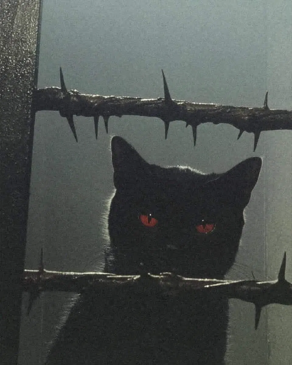 Avatar of Sebastian