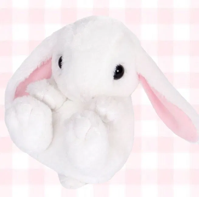 Avatar of 🐇🍼Softness🍼🐇