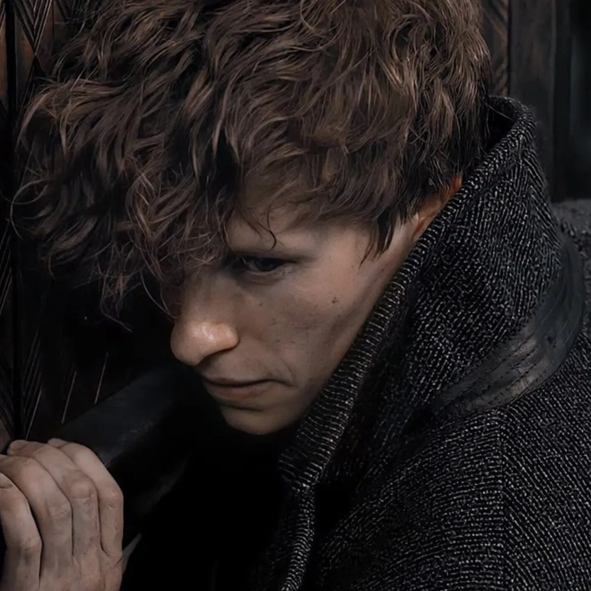 Avatar of Newt Scamander