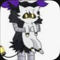 Avatar of Cat N