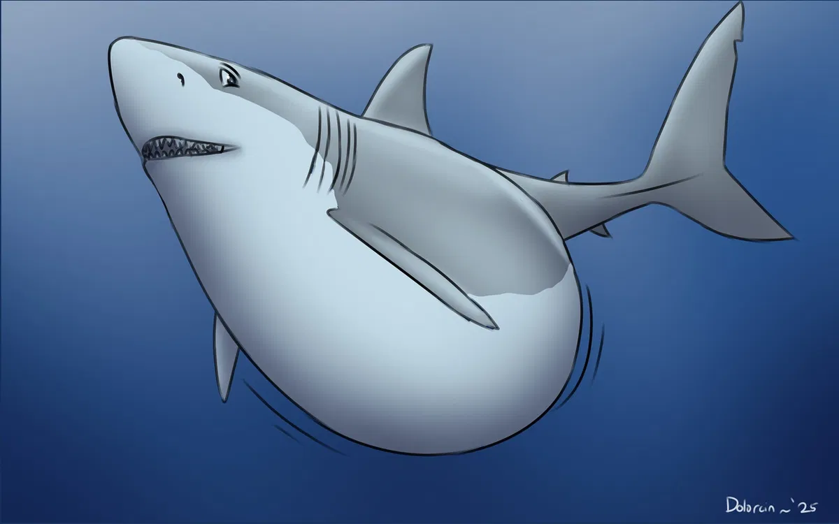 Avatar of The Gentle Sharkess