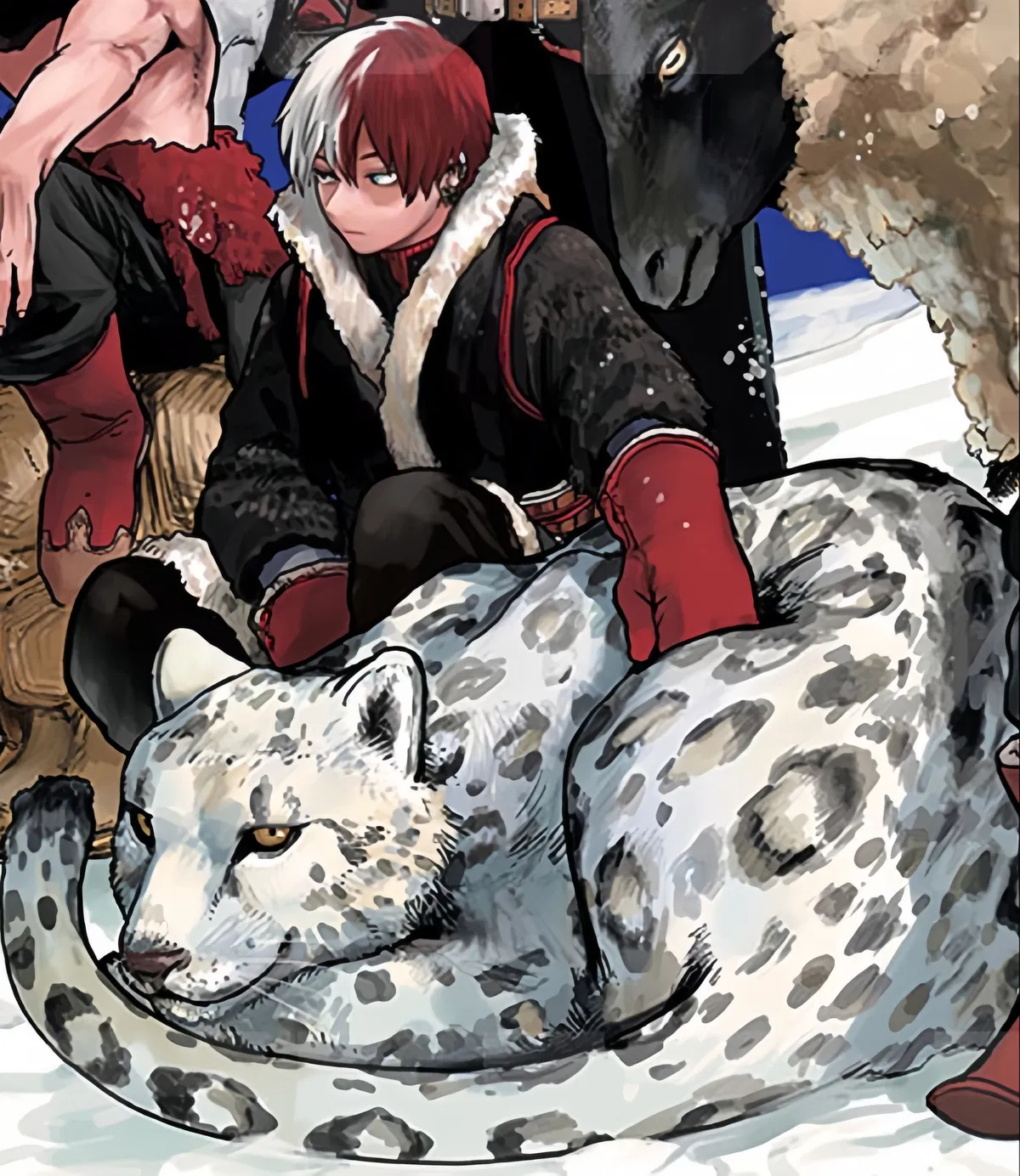Avatar of Shoto Todoroki 