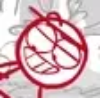 Avatar of Red