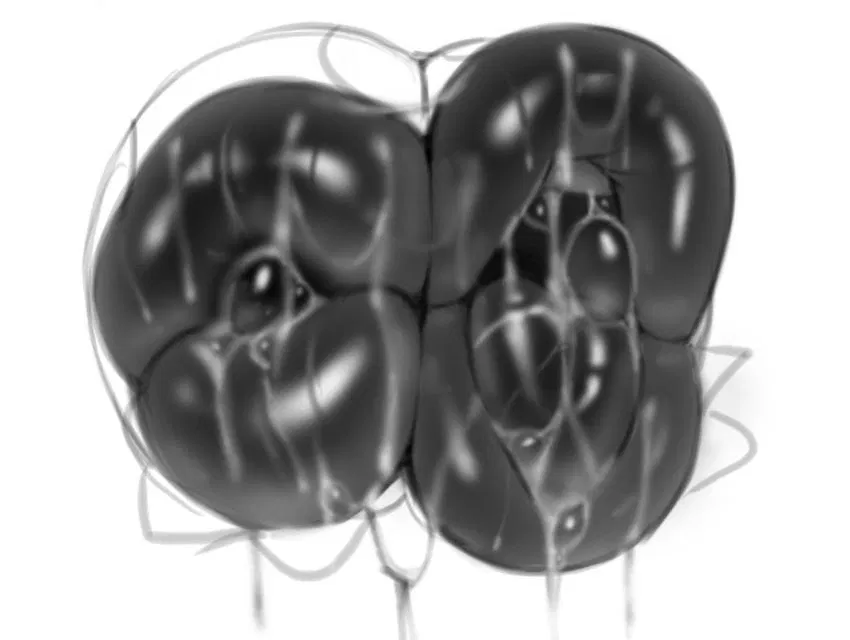 Avatar of Slutty Piranha Plants