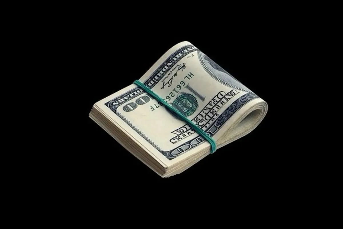 Avatar of $100