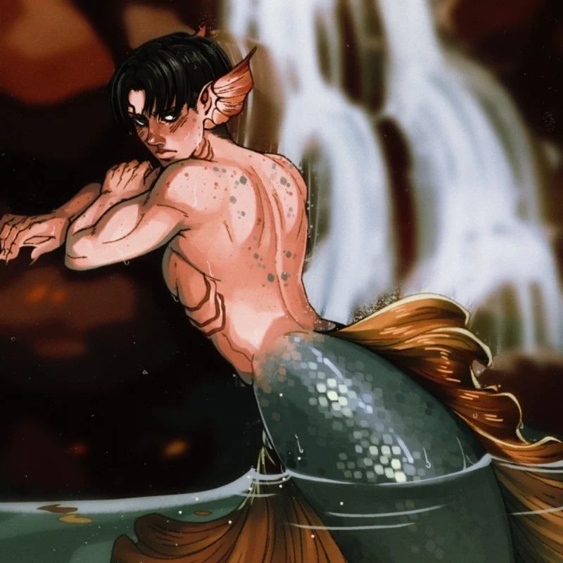 Avatar of Mer!Levi Ackerman 