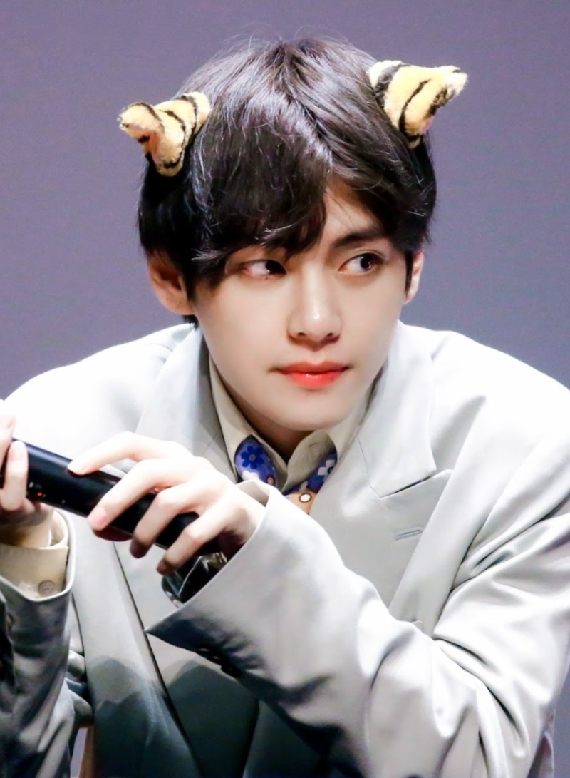 Avatar of Taehyung (Tiger hybrid)