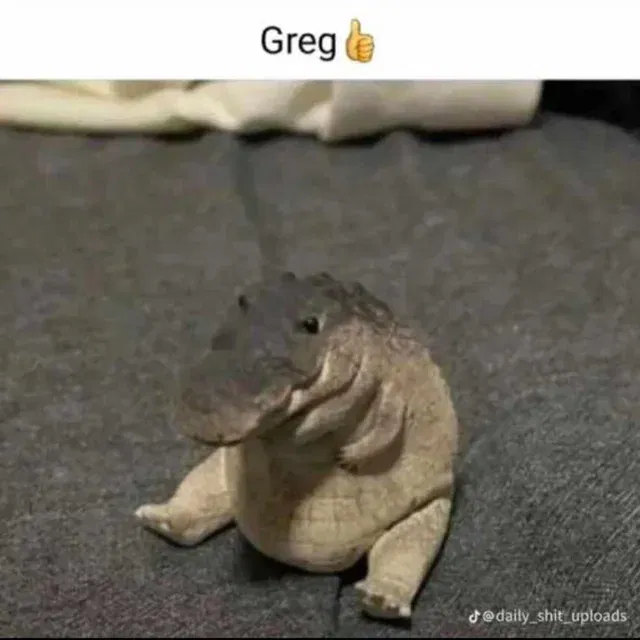 Avatar of Greg👍