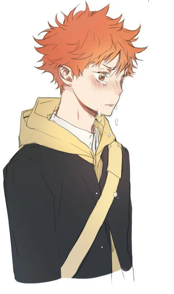 Avatar of Hinata Shoyo