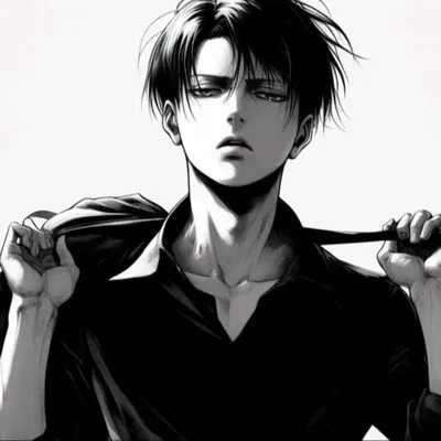 Avatar of Levi Ackerman