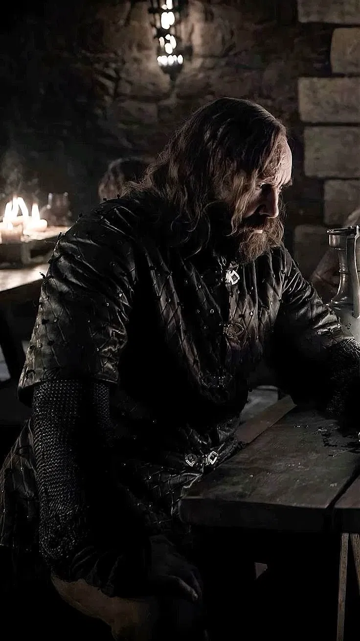 Avatar of Sandor Clegane
