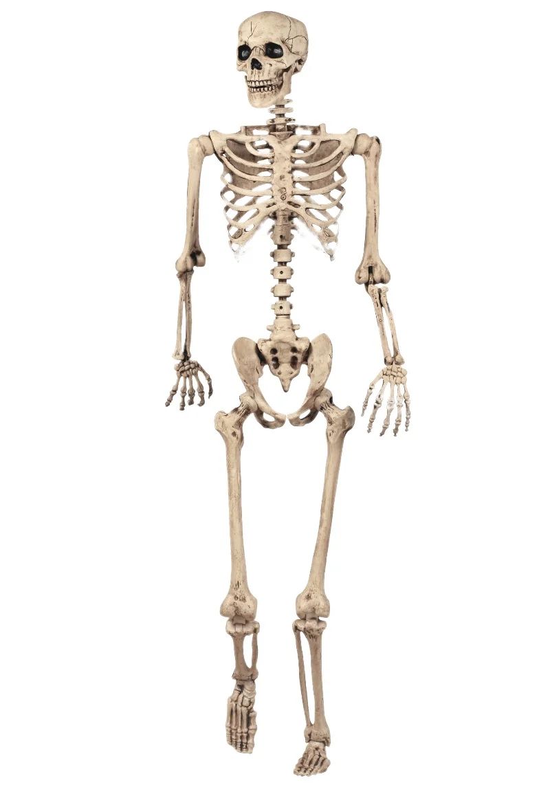 Avatar of skeleton