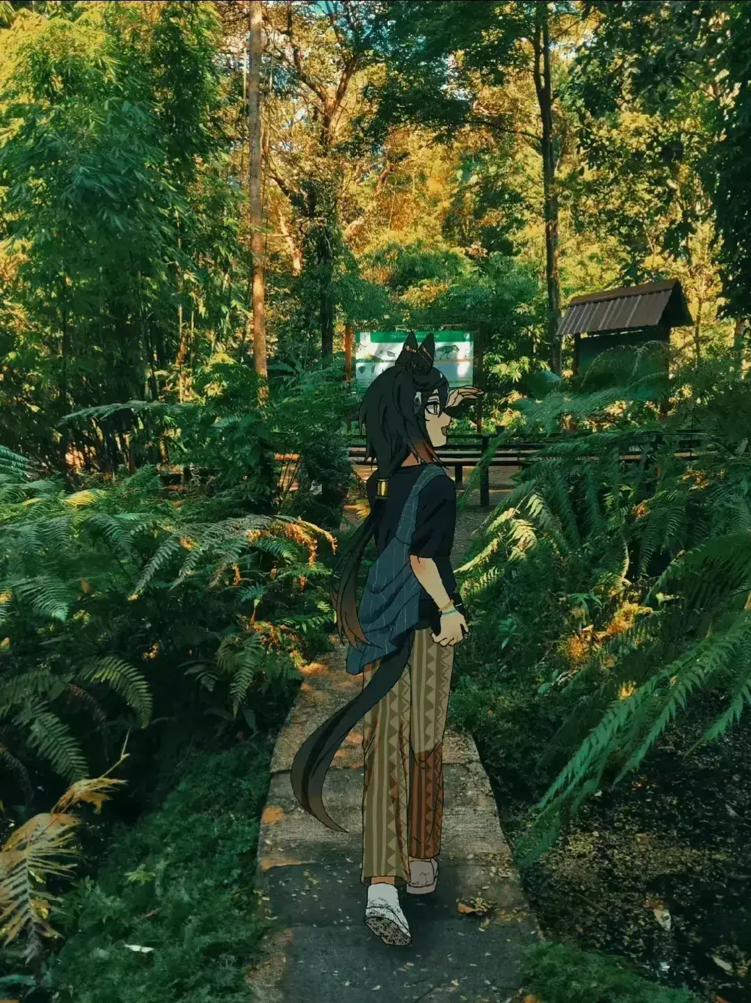 Avatar of Stay Gold - The Divorce.