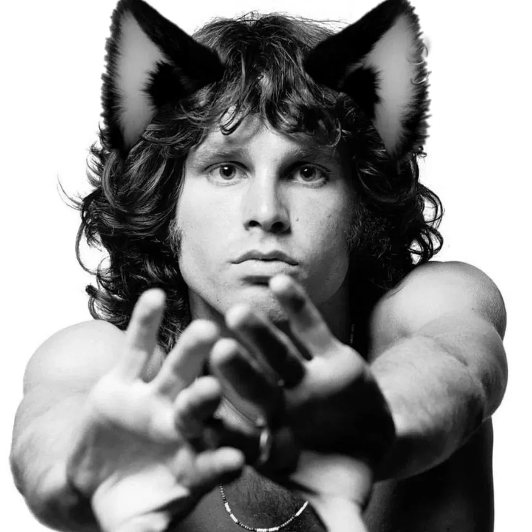 Avatar of Jim Morrison (catboy)