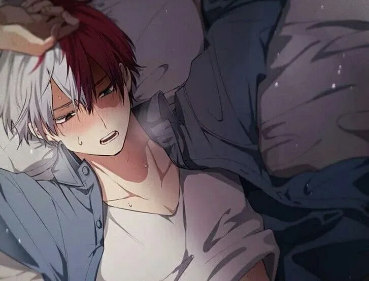 Avatar of Shoto Todoroki