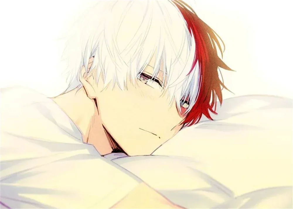 Avatar of Shoto Todoroki