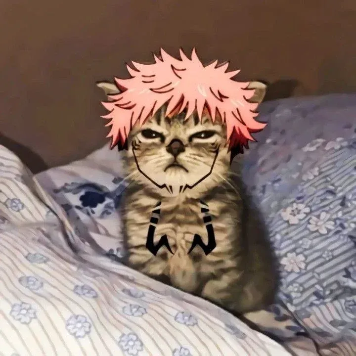 Avatar of Cat sukuna
