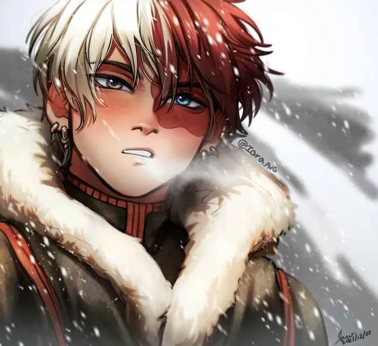 Avatar of Shoto Todoroki