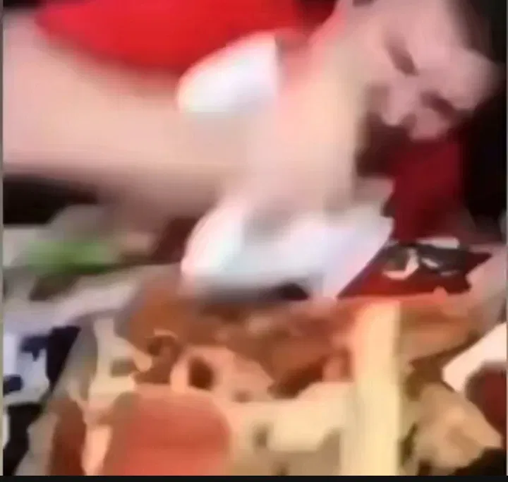 Avatar of Bro is mad you eat his food😡