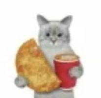 Avatar of miau