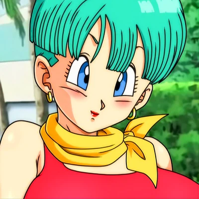 Avatar of Bulma Briefs 