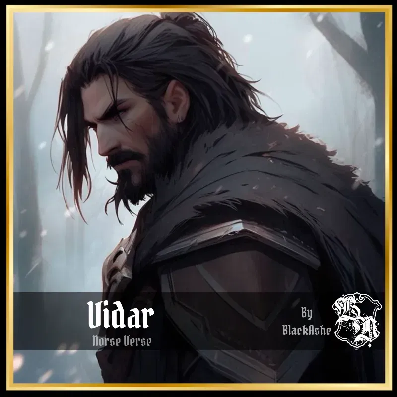 Avatar of Vidar