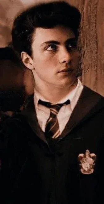 Avatar of James Potter