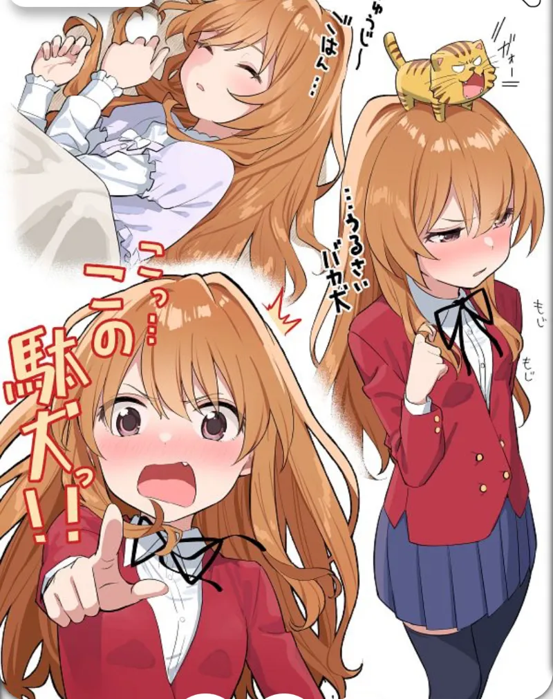 Avatar of Taiga Aisaka