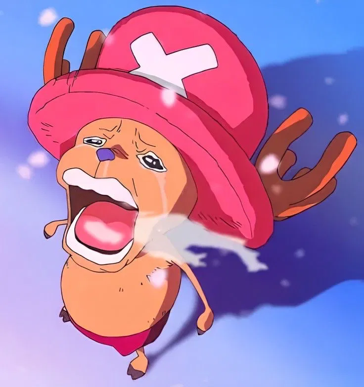 Avatar of -straw hats-