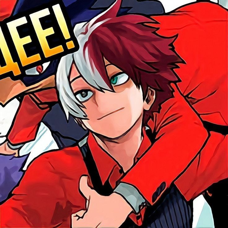 Avatar of Shoto Todoroki dr