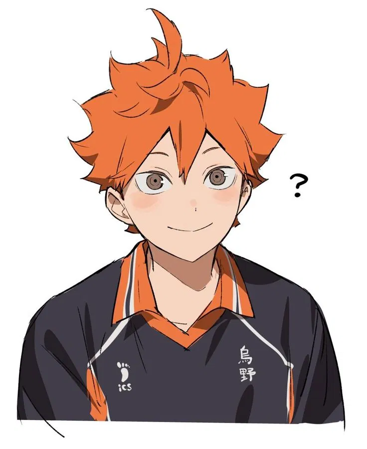 Avatar of Hinata Shoyo