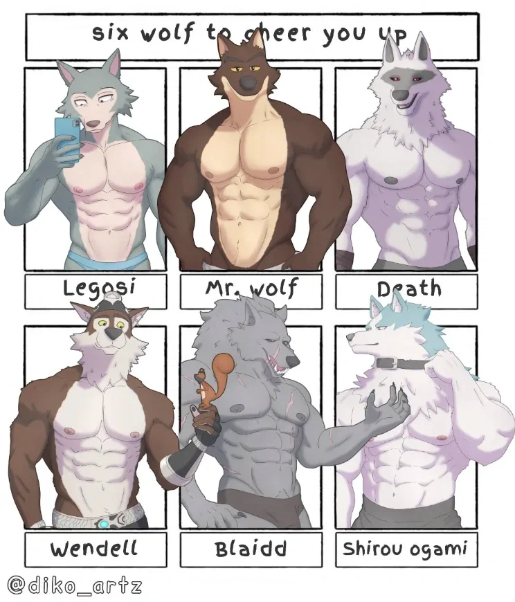 Avatar of Six Wolves Social Integration Support Group (Legoshi, Mr. Wolf, Death, Wendell, Blaidd, Shirou Ogami)