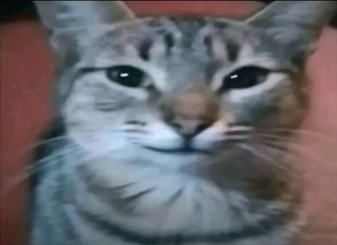 Avatar of I fooled the internet 