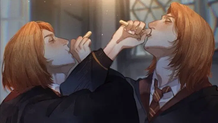 Avatar of Weasley twins