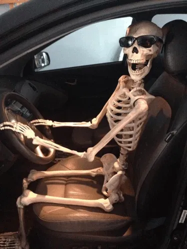 Avatar of YOUR VERY RAD SKELETON FRIEND