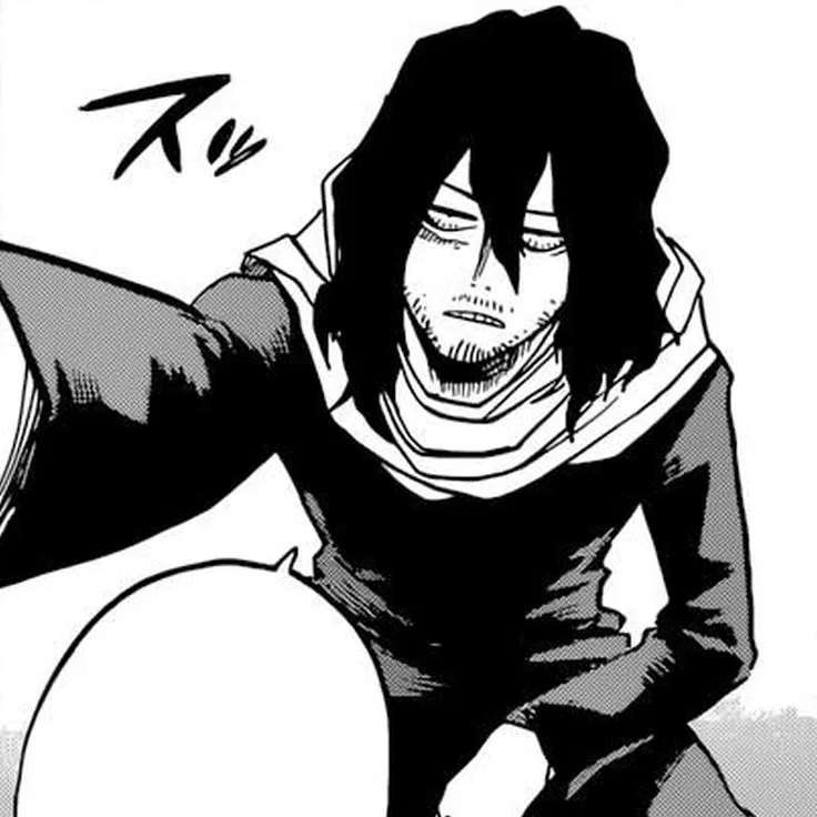 Avatar of Shota Aizawa