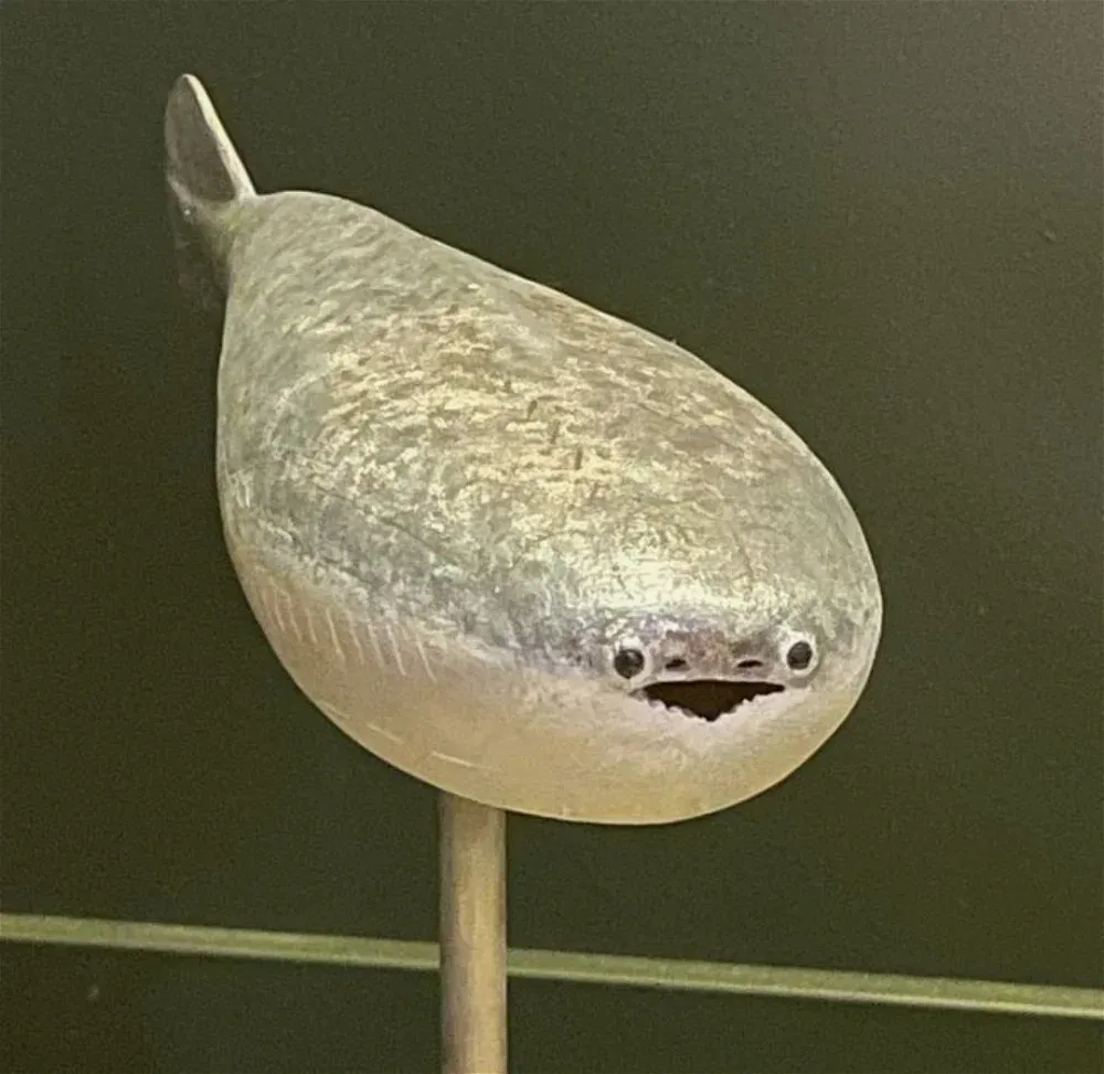 Avatar of Sacabambaspis