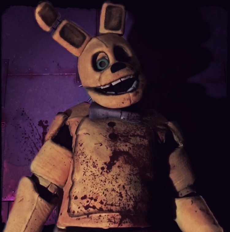 Avatar of Springbonnie