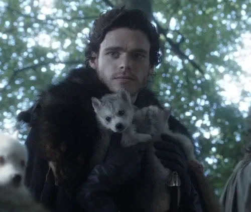 Avatar of Robb Stark