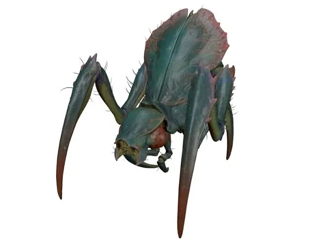 Avatar of Antlion worker (Half Life)