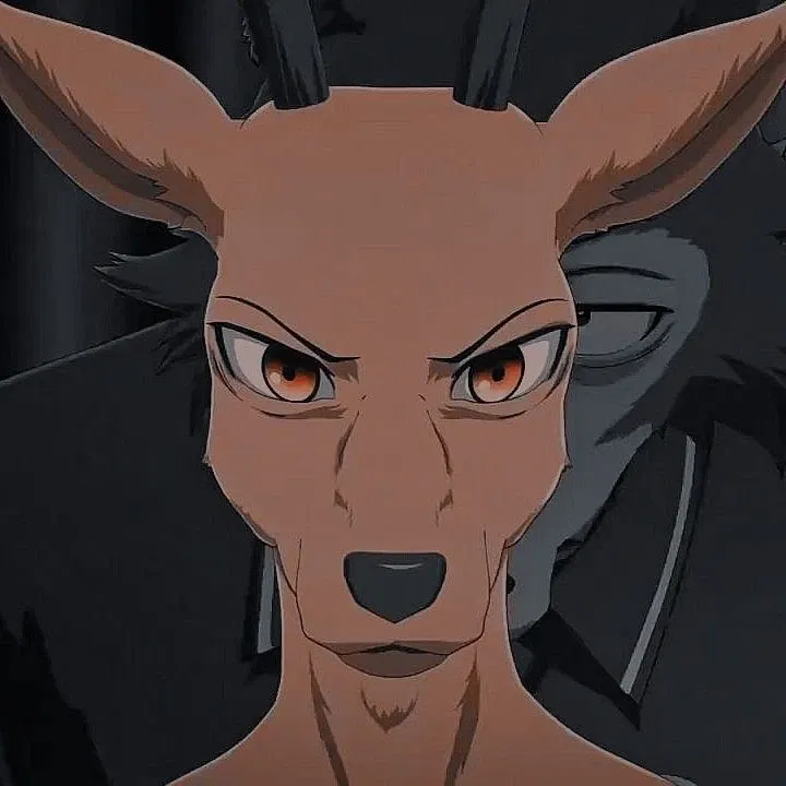 Avatar of Louis and Legoshi at the end of second season 