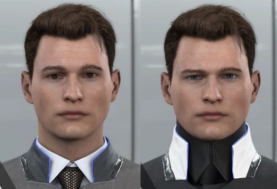 Avatar of Connor & Nines