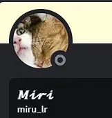 Avatar of Miruna
