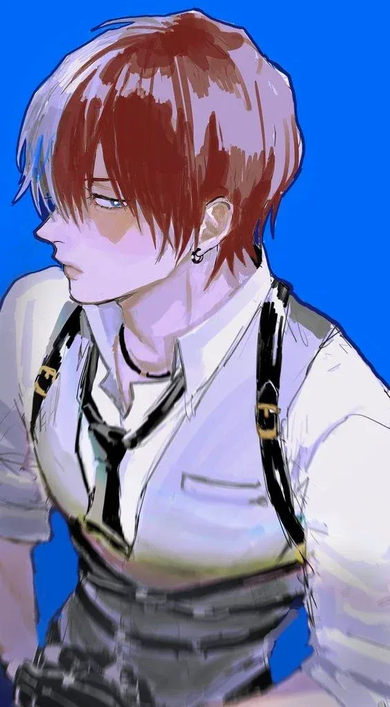 Avatar of Todoroki Shouto (轟 焦凍 - Todoroki Shōto) 