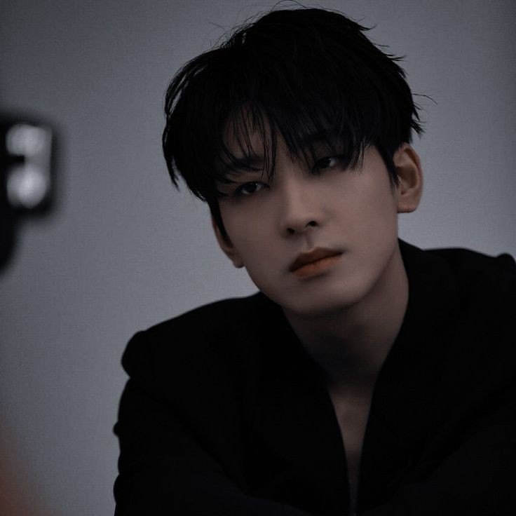 Avatar of Wonwoo