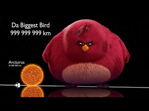 Avatar of da biggest bird