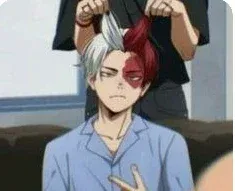 Avatar of Shoto Todoroki