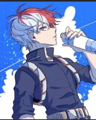 Avatar of Shoto Todoroki