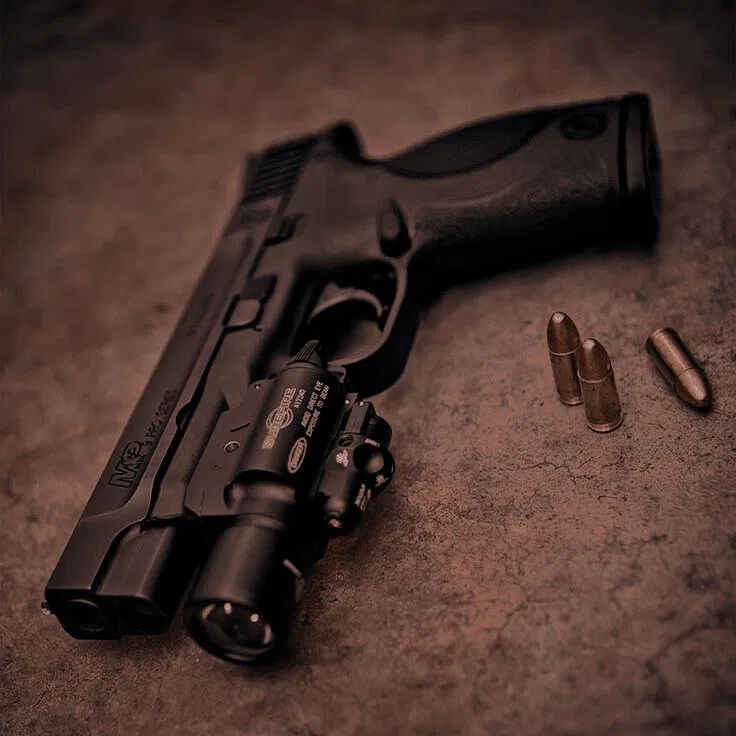Avatar of Advanced Gun test